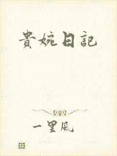 贵婉日记