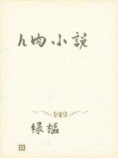 h肉小说