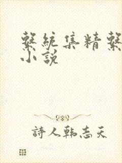 系统集精系统 小说