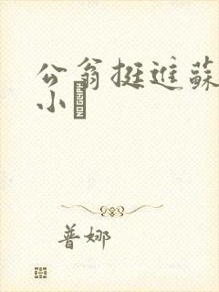 公翁挺进苏玥的小泬