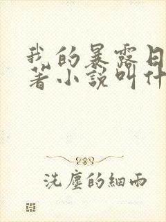 我的暴露日记原著小说叫什么