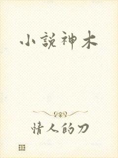 小说神木