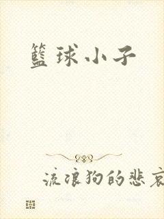 篮球小子