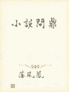 小说问鼎封面