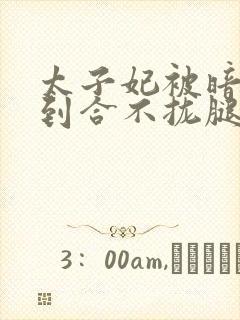 太子妃被暗卫C到合不拢腿