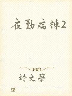 夜勤病栋2封面