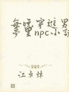 每晚穿进男神的梦里npc小说