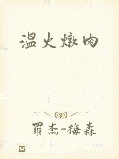 温火炖肉