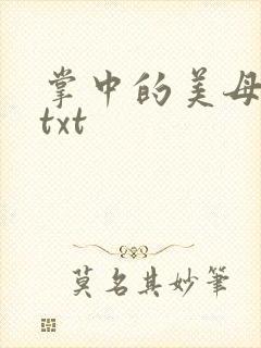 掌中的美母版主txt