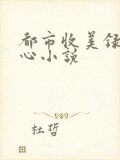 都市收美录宁素心小说