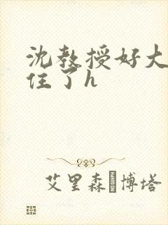 沈教授好大含不住了h