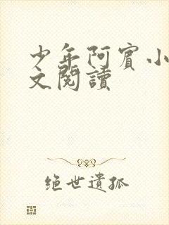 少年阿宾小说全文阅读