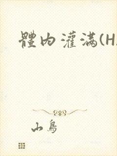 体内灌满(H)