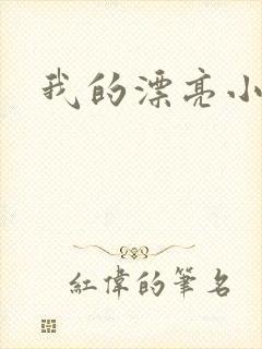 我的漂亮小后妈