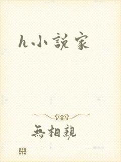 h小说家