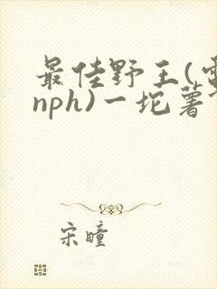 最佳野王(电竞nph)一坨薯饼