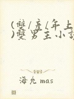 (双/产/年上)双男主小说