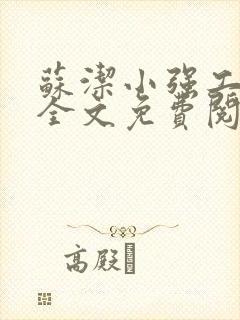 苏洁小强工地情全文免费阅读