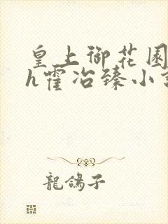 皇上御花园hlh霍冶臻小说