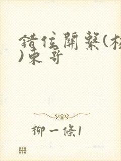 错位关系(校园)东哥