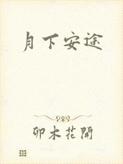月下安途
