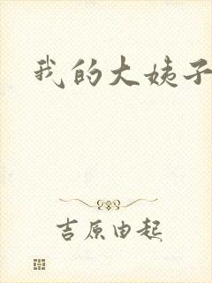 我的大姨子封面