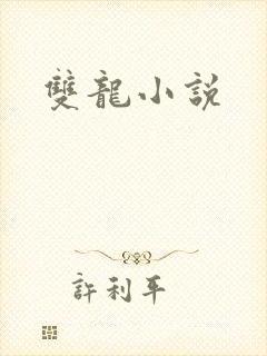 双龙小说
