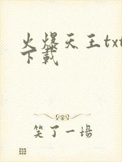 火爆天王txt下载