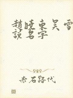 赵晓东吴雪晴小说名字