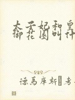 太子妃和皇帝在御花园叫什么小说