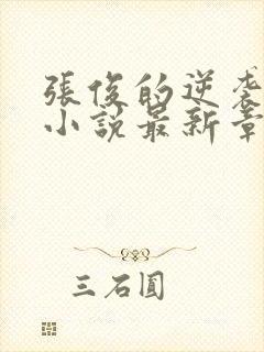 张俊的逆袭之路小说最新章节