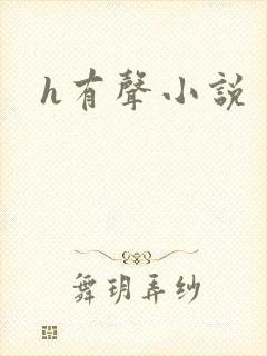 h有声小说