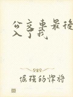 公交车最后一排入了我