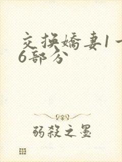 交换娇妻1一36部分