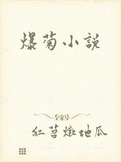 爆菊小说