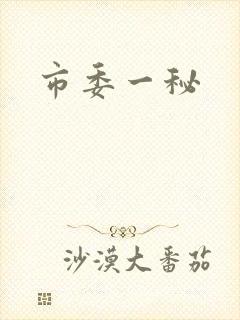 市委一秘
