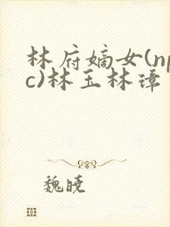 林府嫡女(npc)林玉林璋