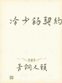 冷少的契约囚奴