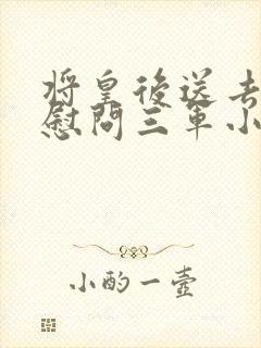 将皇后送去军营慰问三军小说