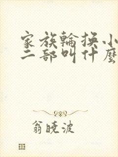家族轮换小说第二部叫什么名字
