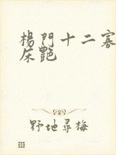 杨门十二寡妇肉床艳