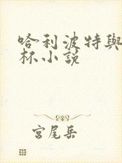 哈利波特与火焰杯小说