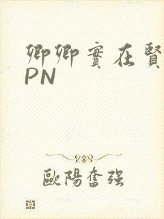 卿卿实在贤良NPN