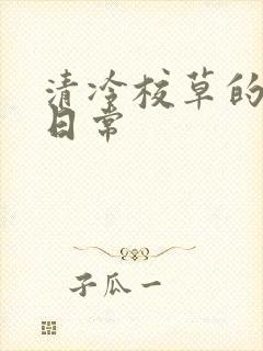 清冷校草的抹布日常