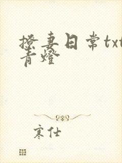 撩妻日常txt青灯