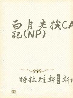 白月光挨CAO记(NP)
