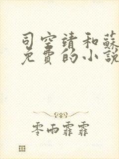 司空靖和苏月汐免费的小说笔趣阁