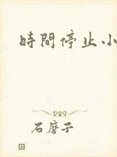 时间停止小说