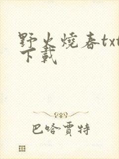 野火烧春txt下载