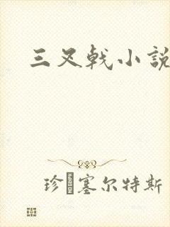 三叉戟小说